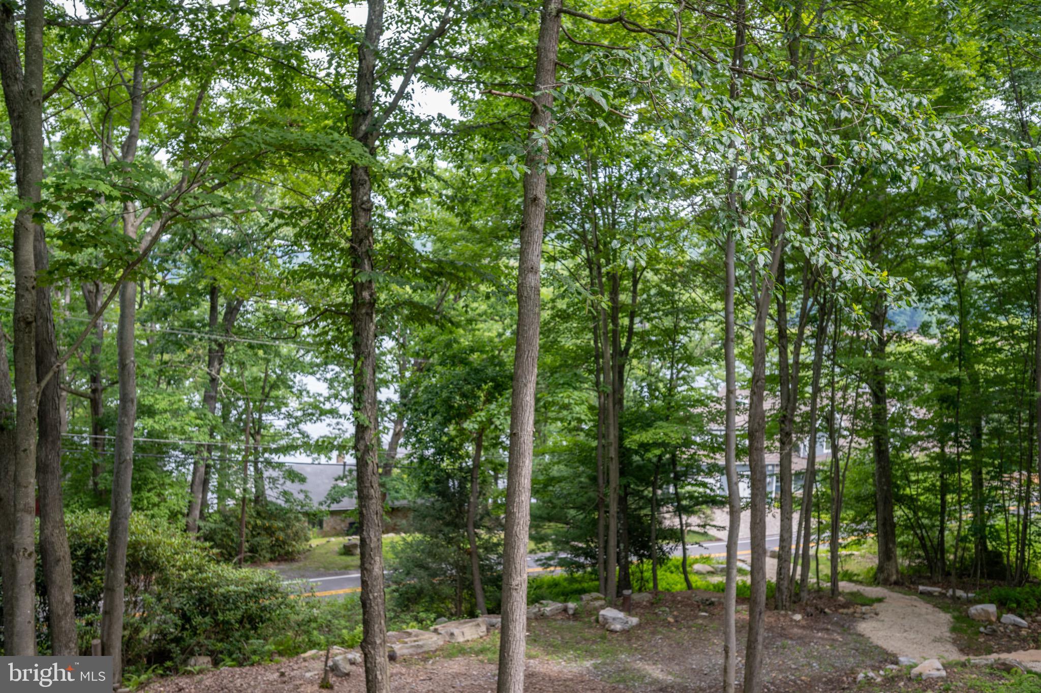 173 Pinnacle Dr