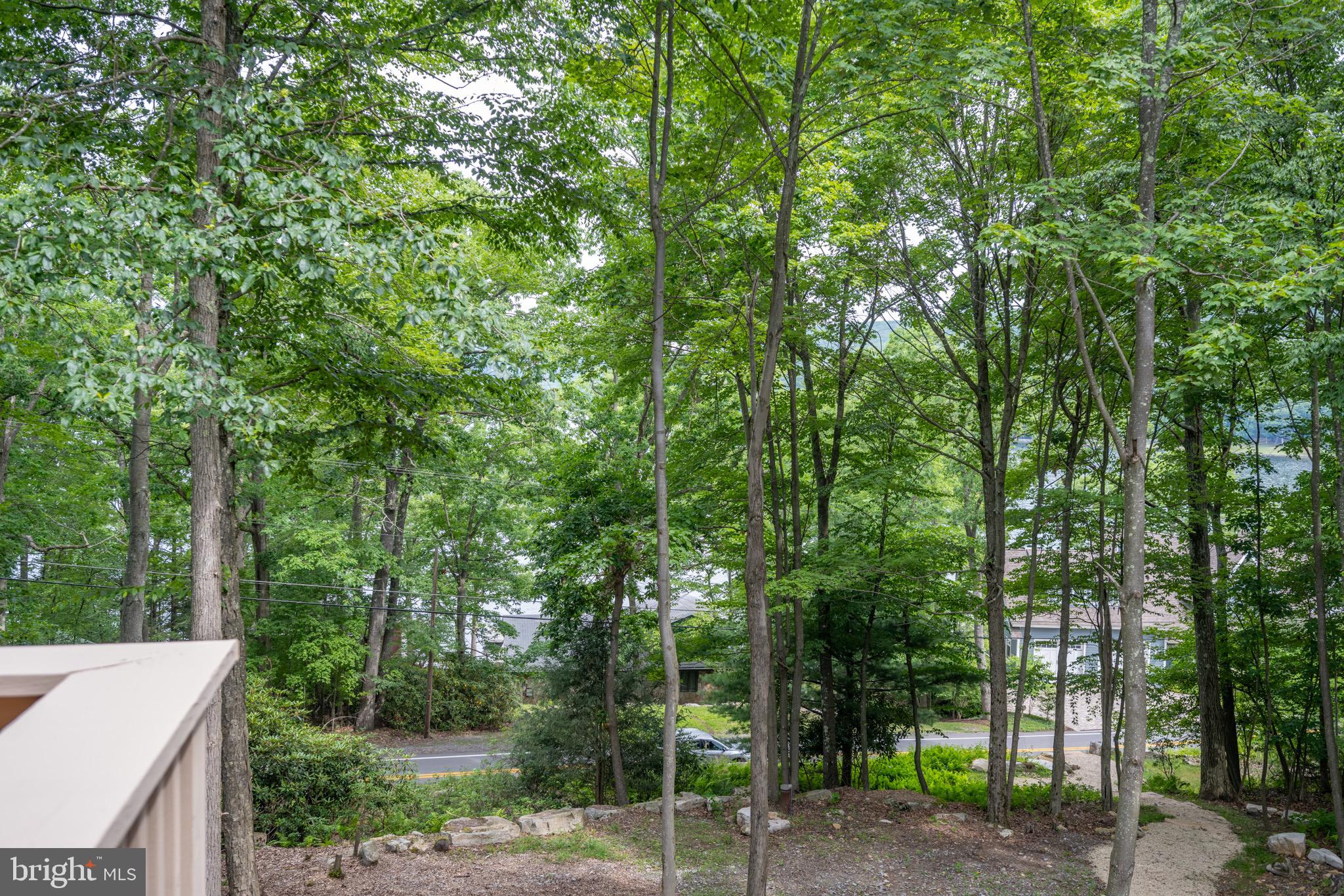 173 Pinnacle Dr