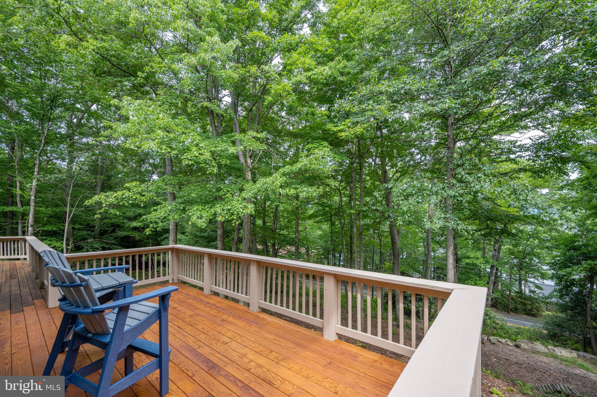 173 Pinnacle Dr