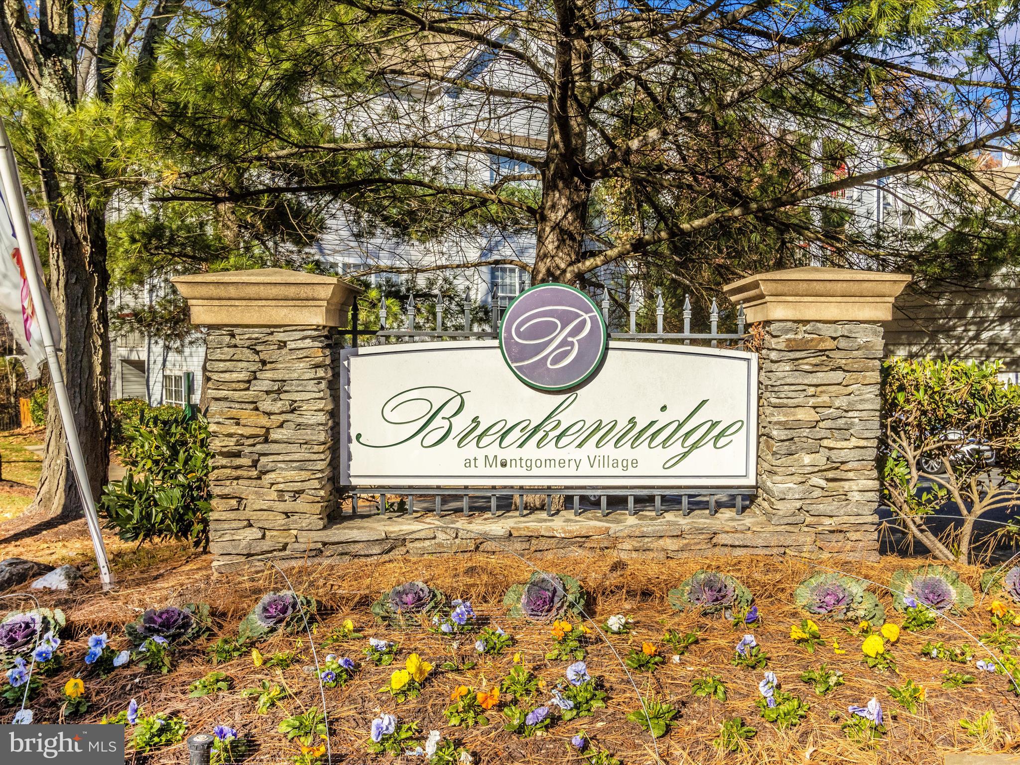 9907 Boysenberry Way Unit: 110-42