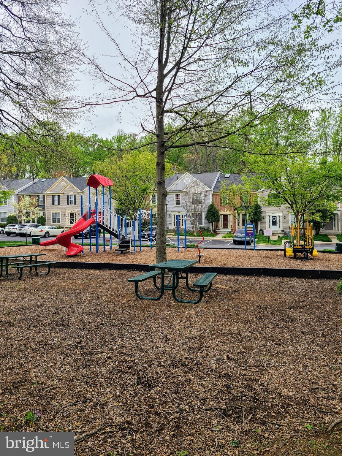 18614 Fiddleleaf Ter