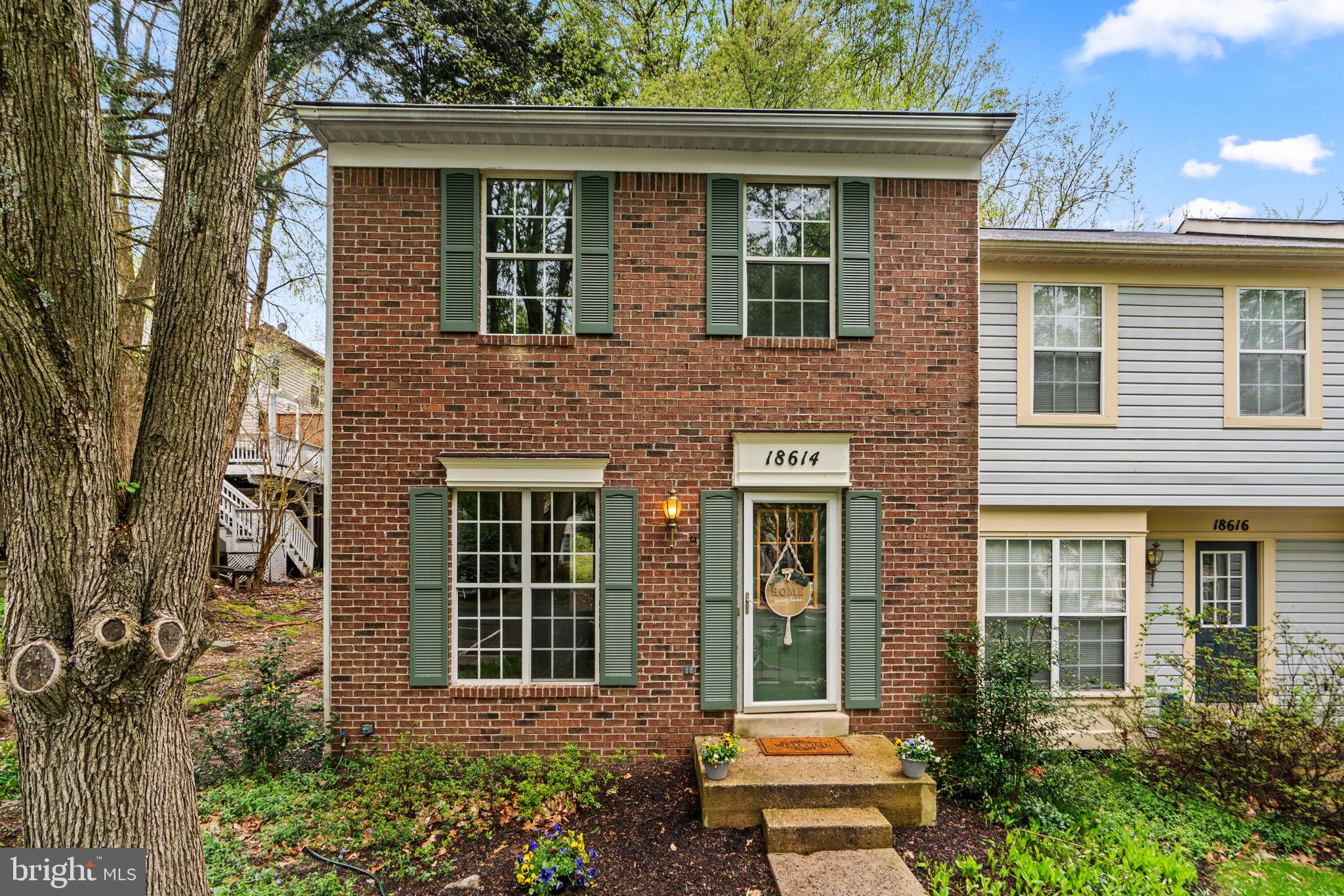 18614 Fiddleleaf Ter