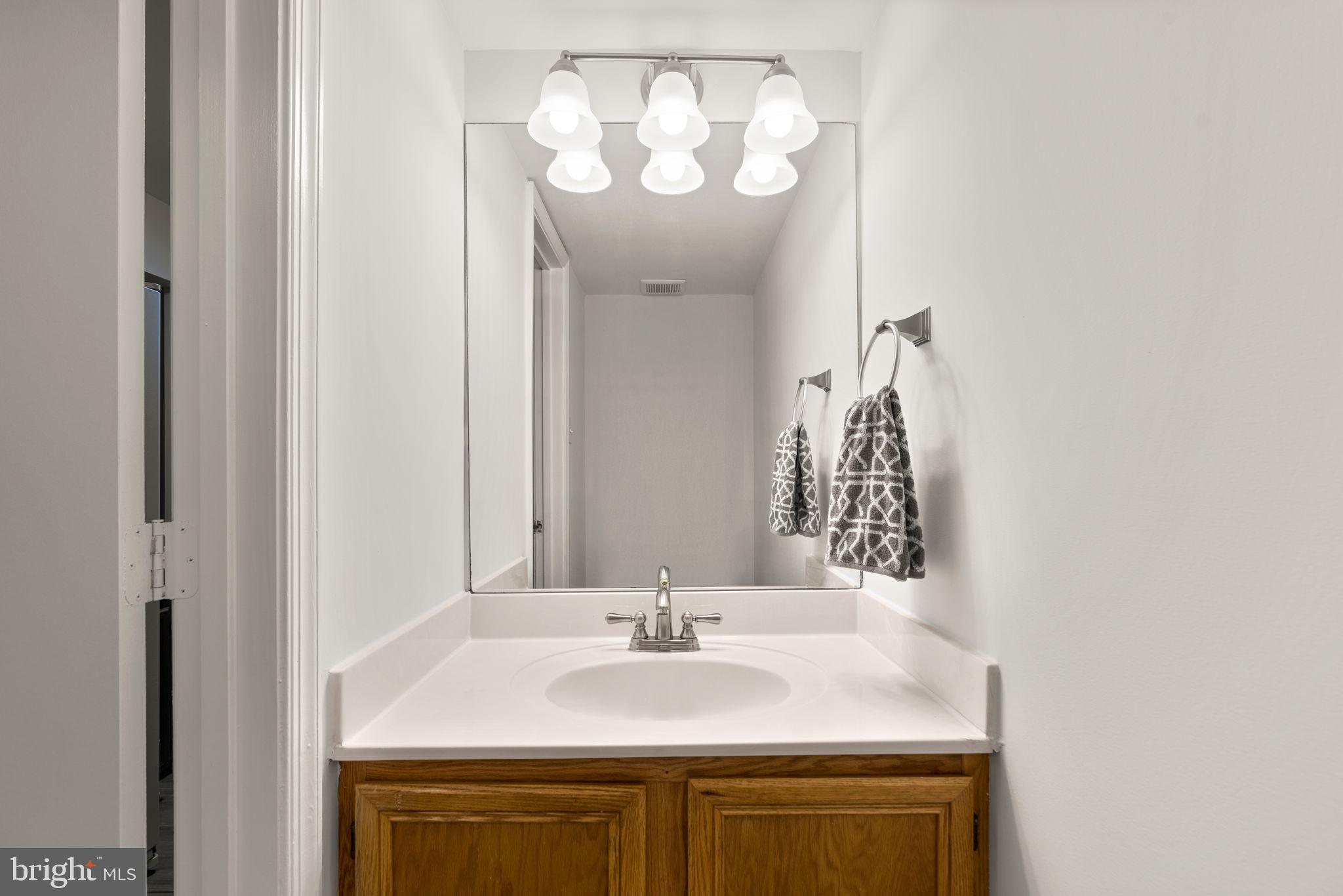 18614 Fiddleleaf Ter