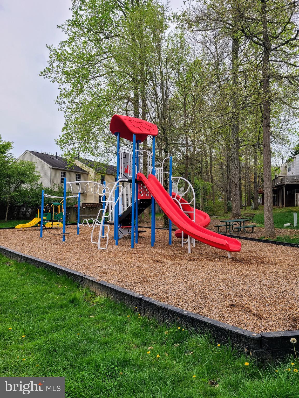 18614 Fiddleleaf Ter