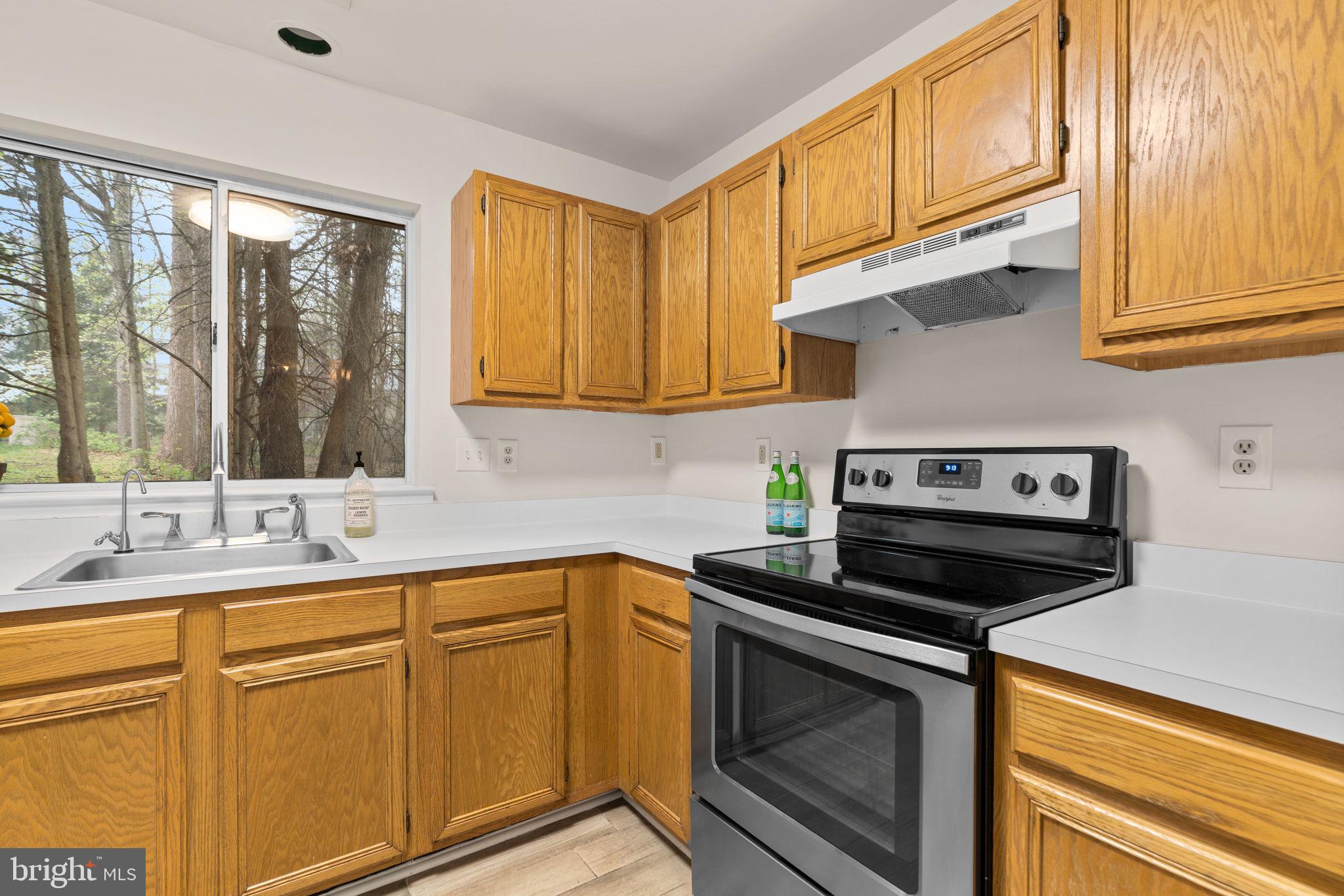 18614 Fiddleleaf Ter