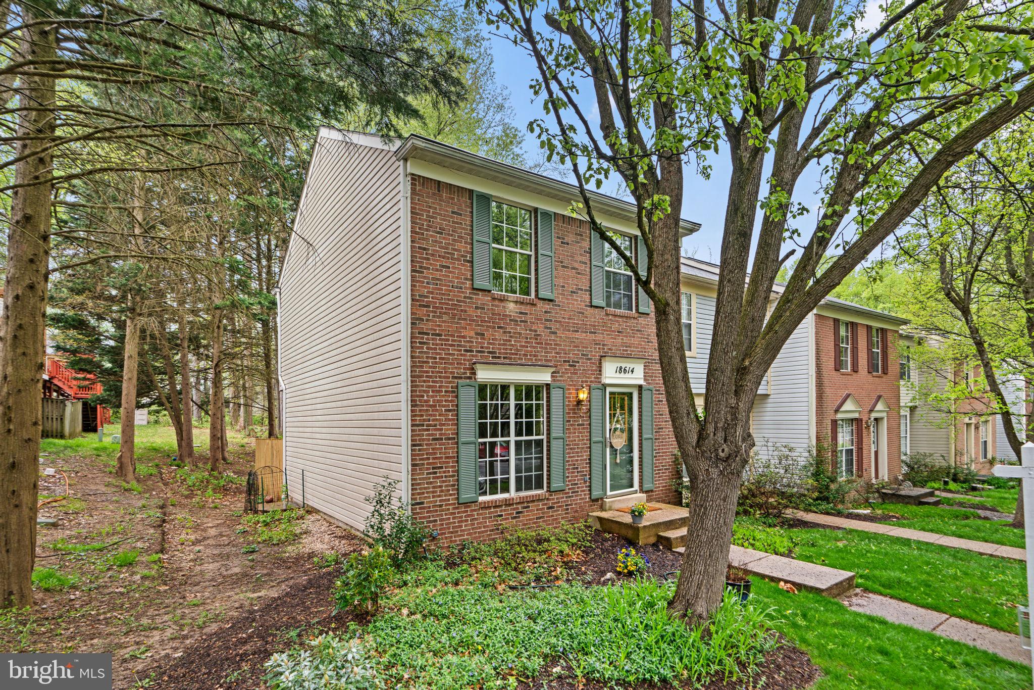 18614 Fiddleleaf Ter