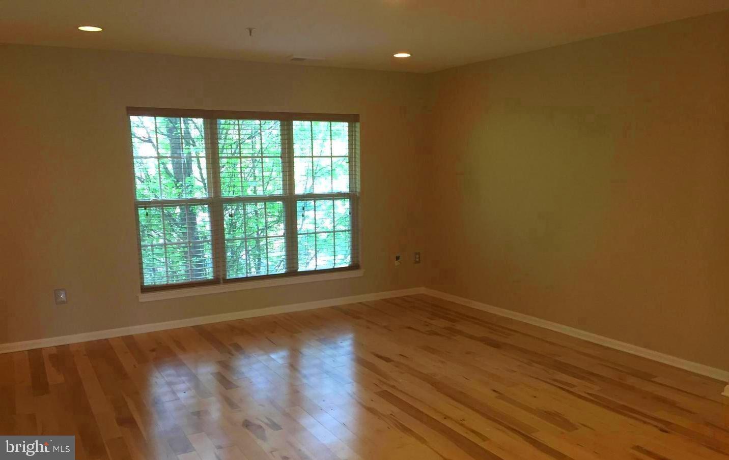 13313 RUSHING WATER WAY #4A