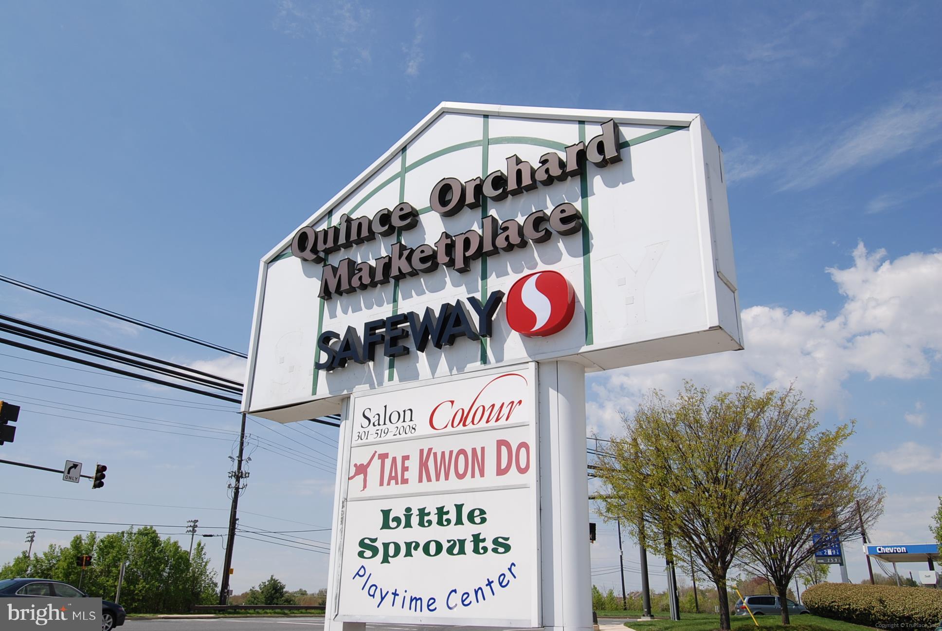 13200 CHESTNUT OAK DRIVE