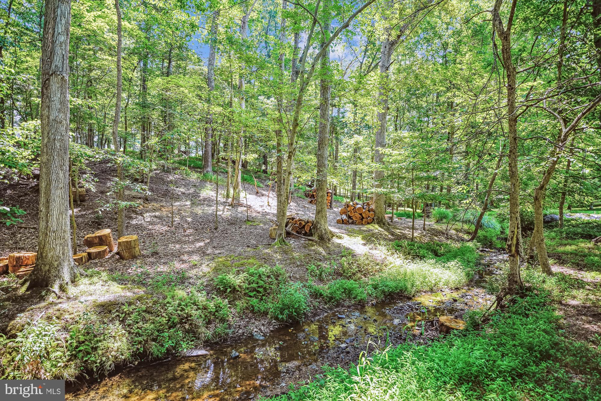 13200 CHESTNUT OAK DRIVE