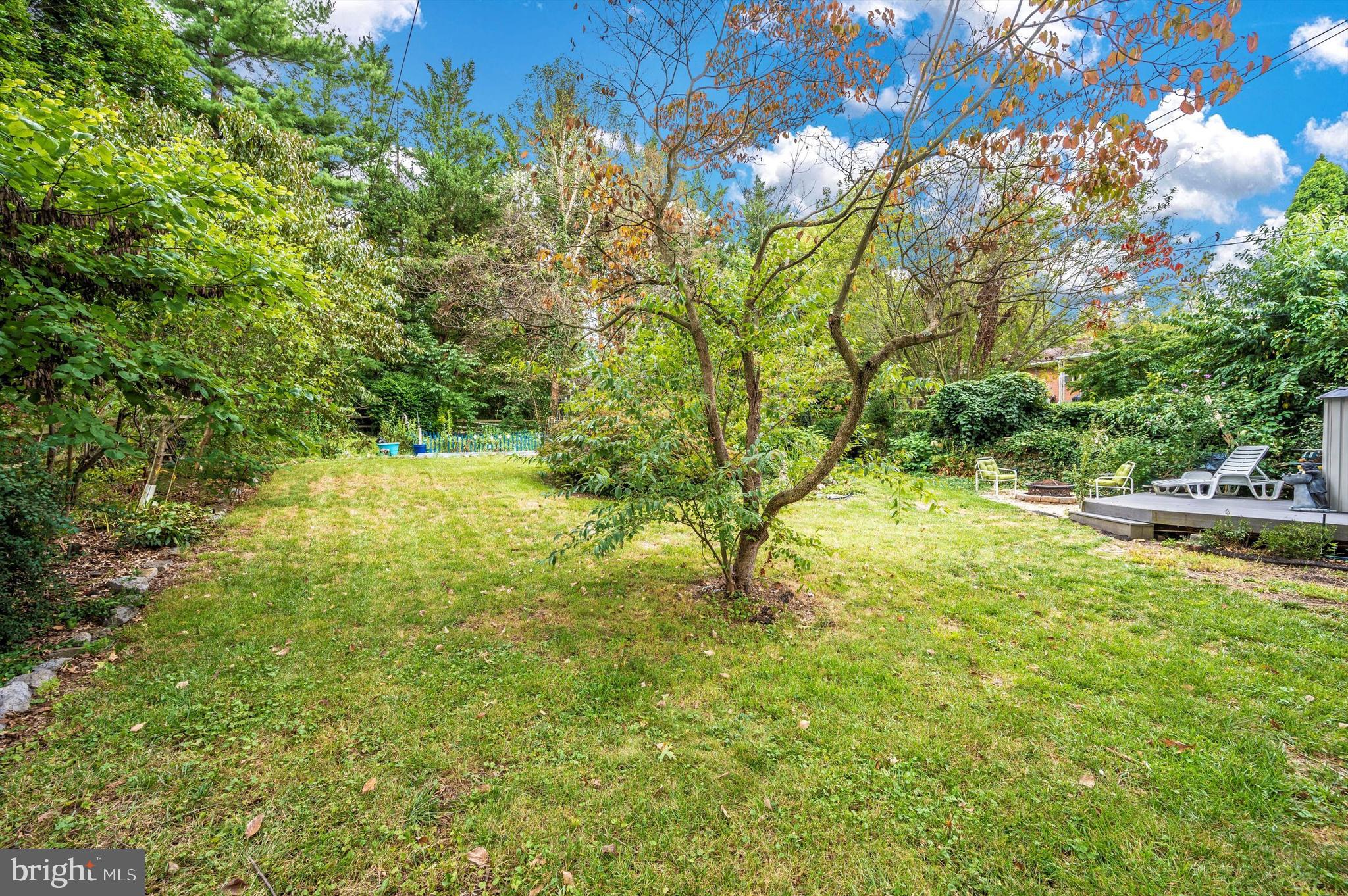 1010 WOODLAND WAY