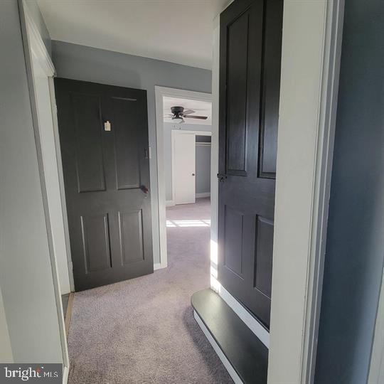 11 Cumberland St
