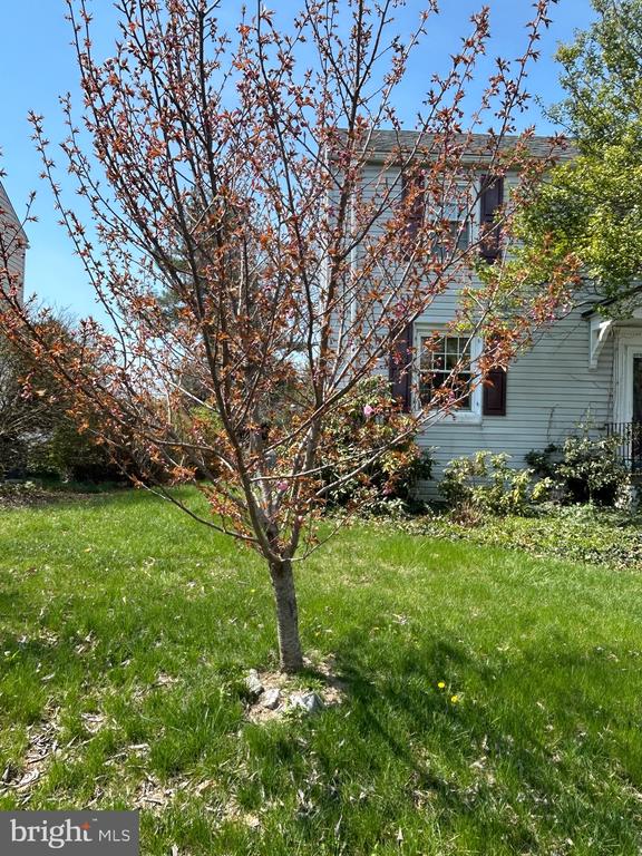 1117 Beechwood Dr