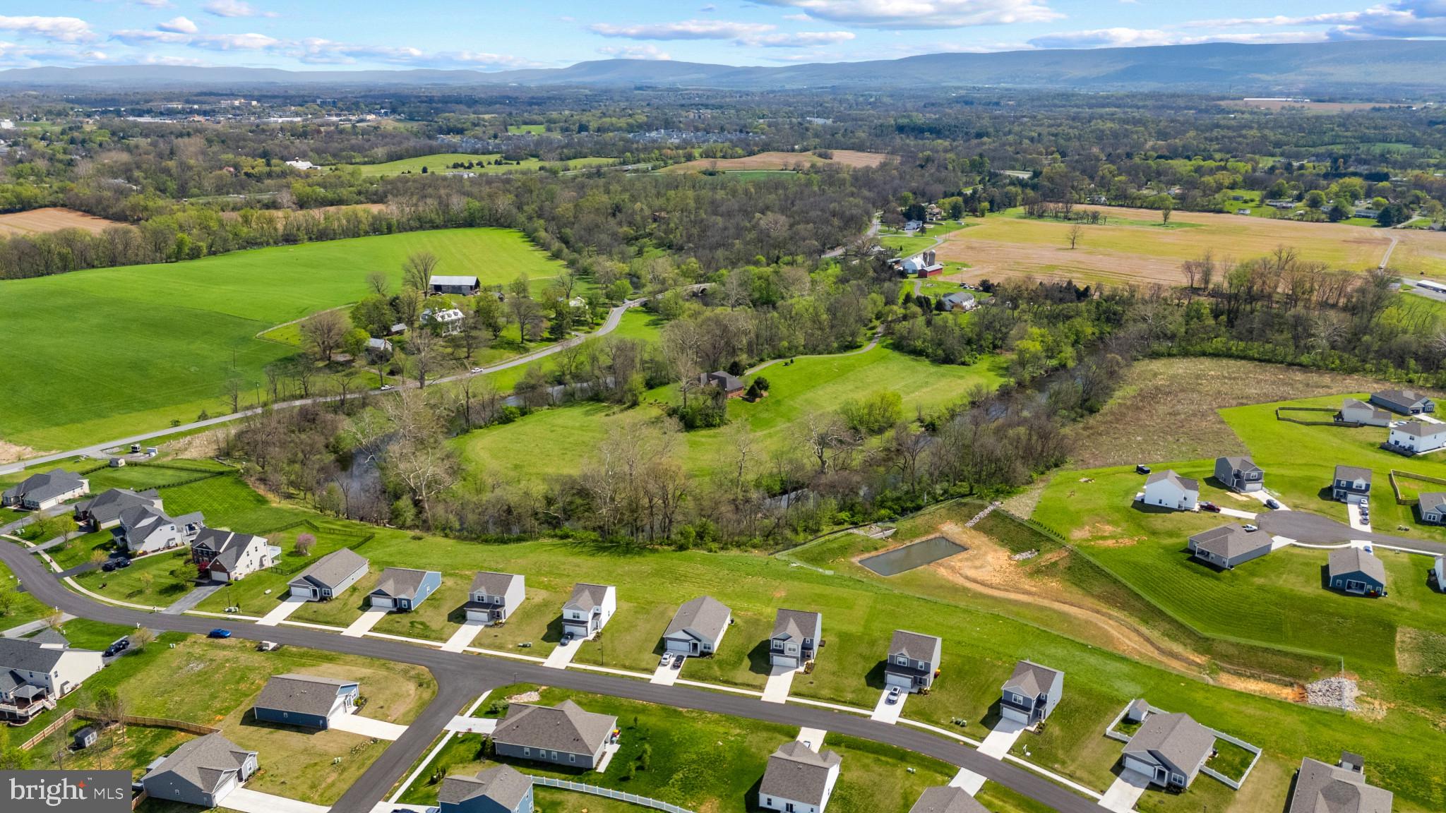 10039 MAIDS FANCY WAY