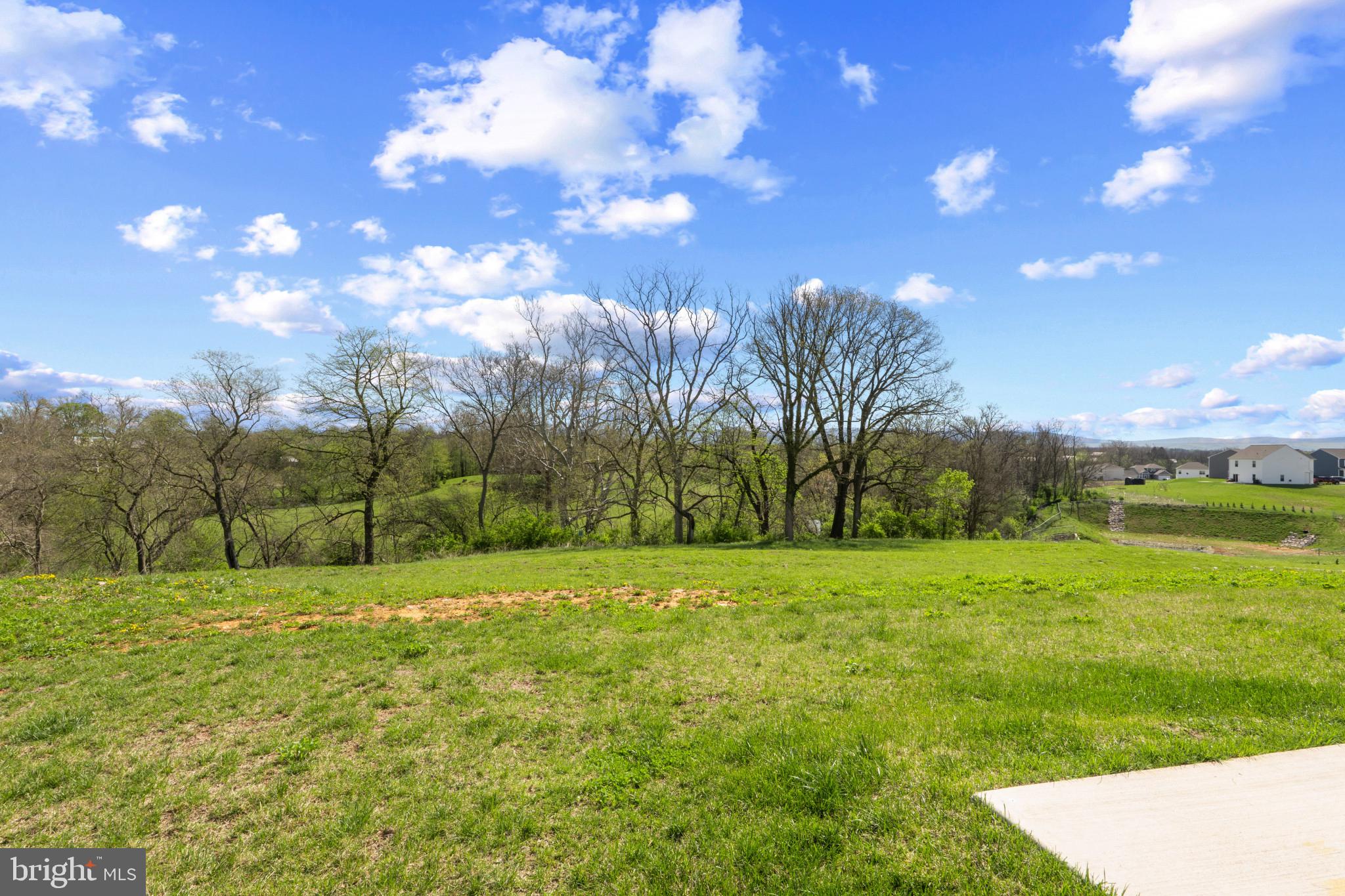 10039 MAIDS FANCY WAY