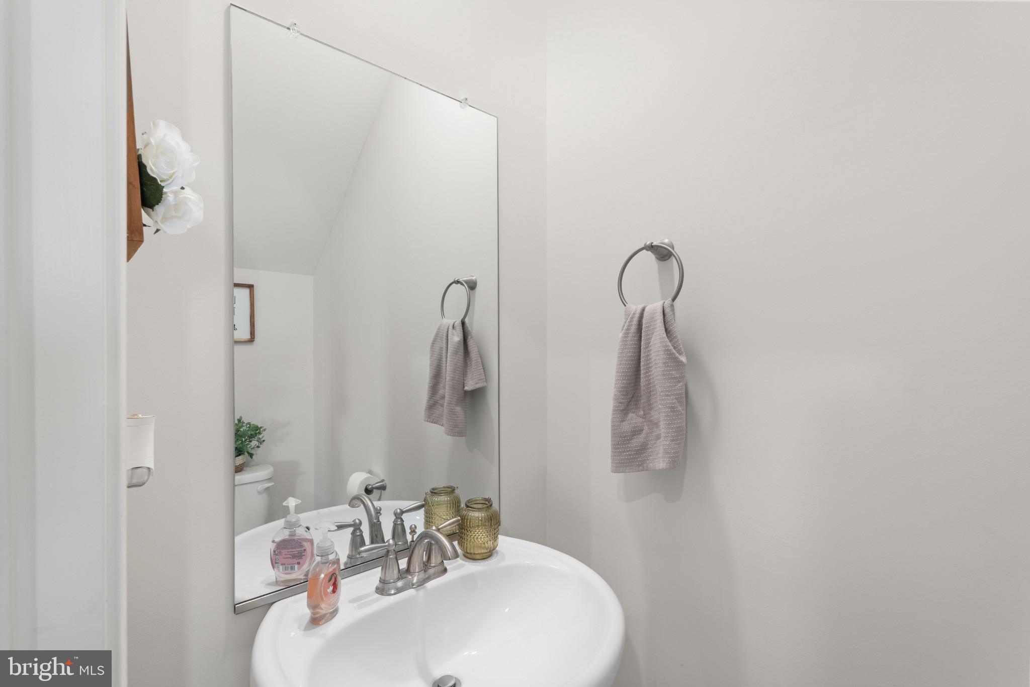 10039 MAIDS FANCY WAY