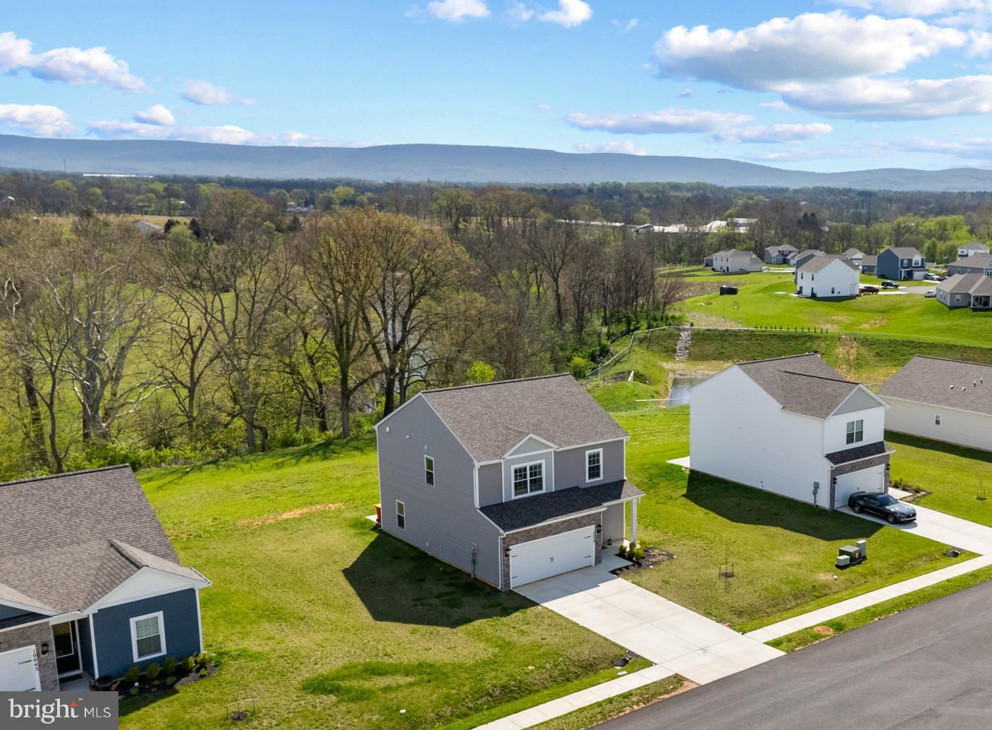 10039 MAIDS FANCY WAY