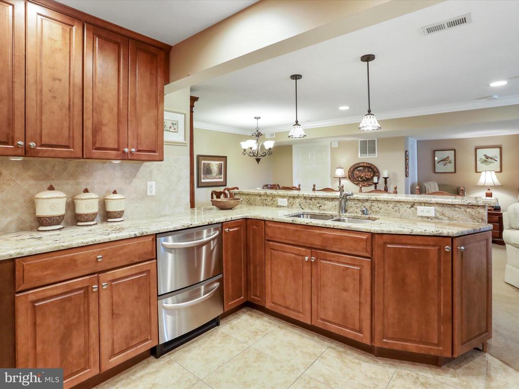22124 WHITESTONE COURT