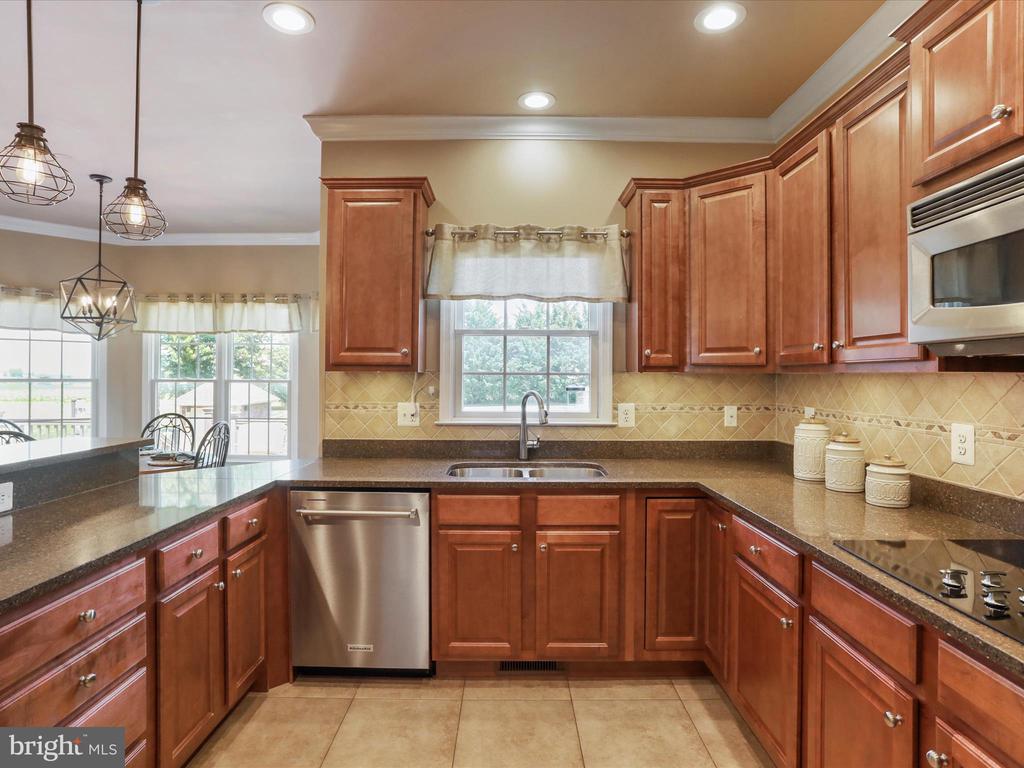 22124 WHITESTONE COURT