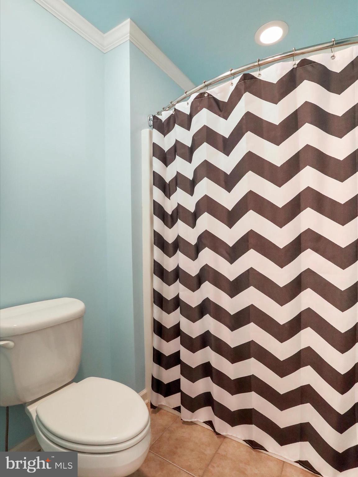 22124 WHITESTONE COURT