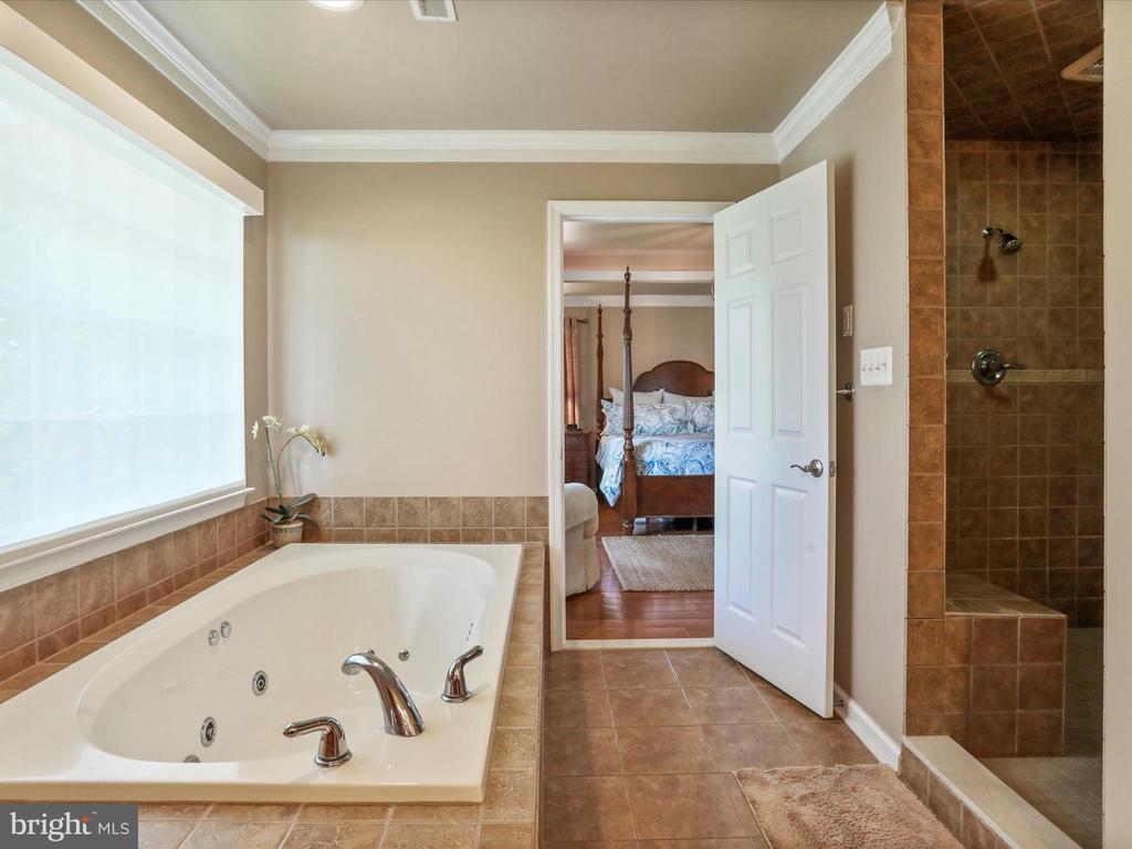 22124 WHITESTONE COURT