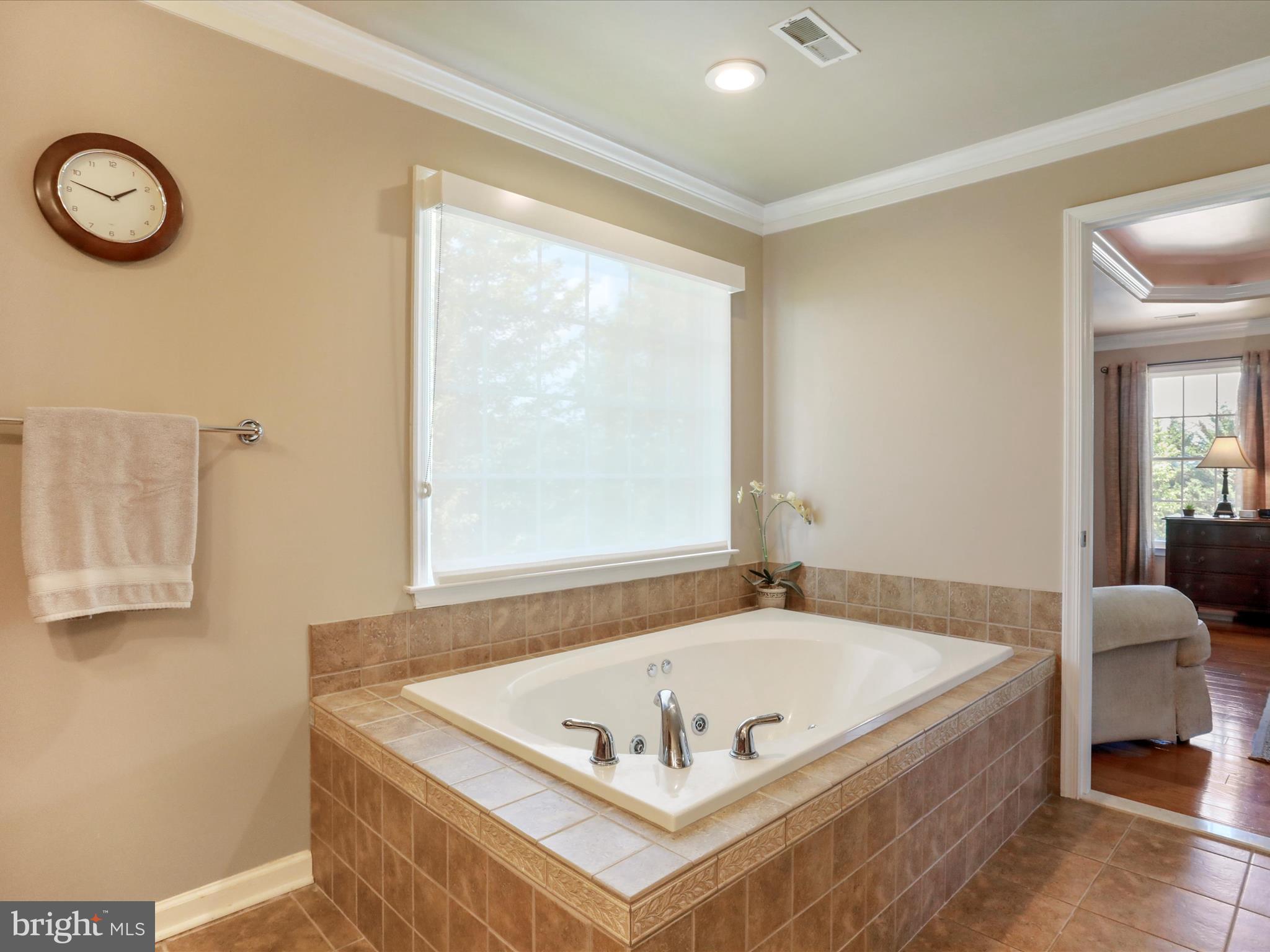 22124 WHITESTONE COURT