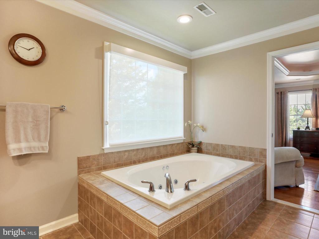 22124 WHITESTONE COURT