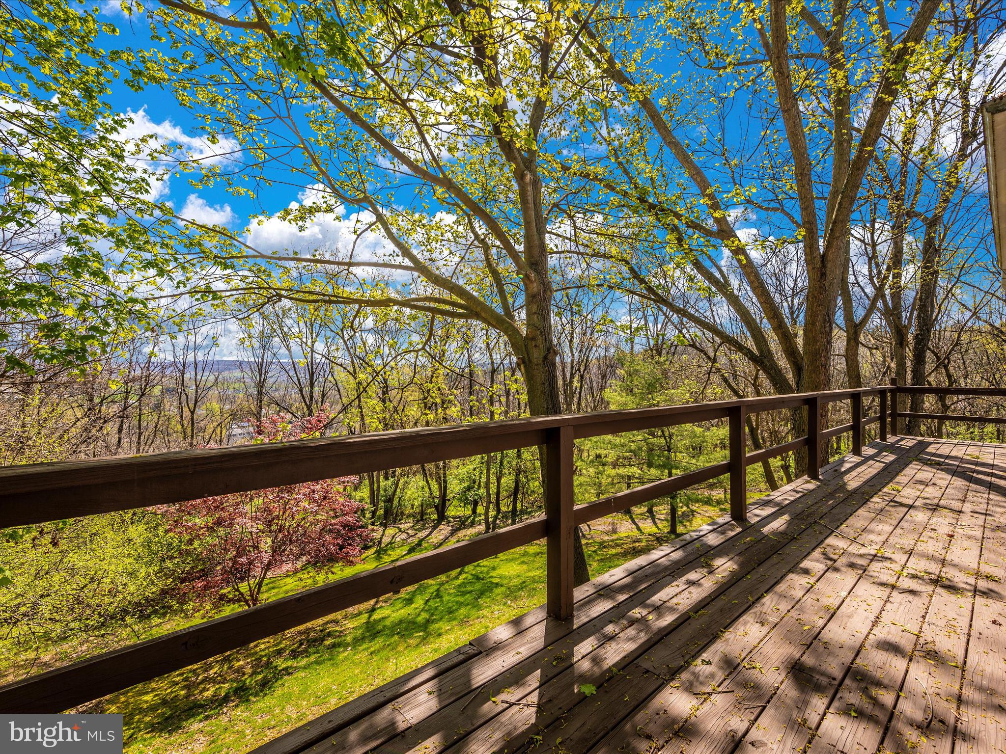 8383 Morningstar Lane Ln Unit: 1