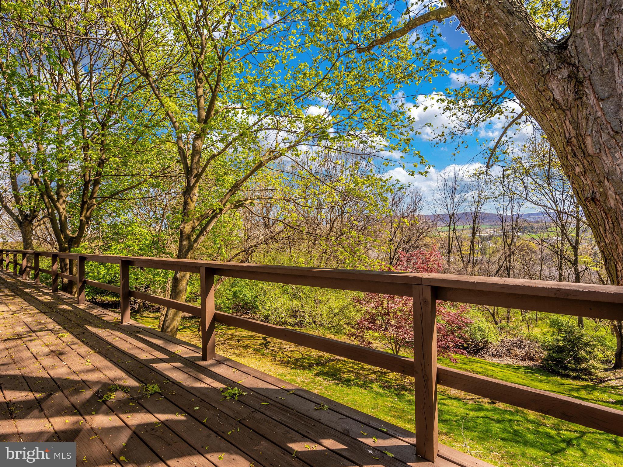 8383 Morningstar Lane Ln Unit: 1