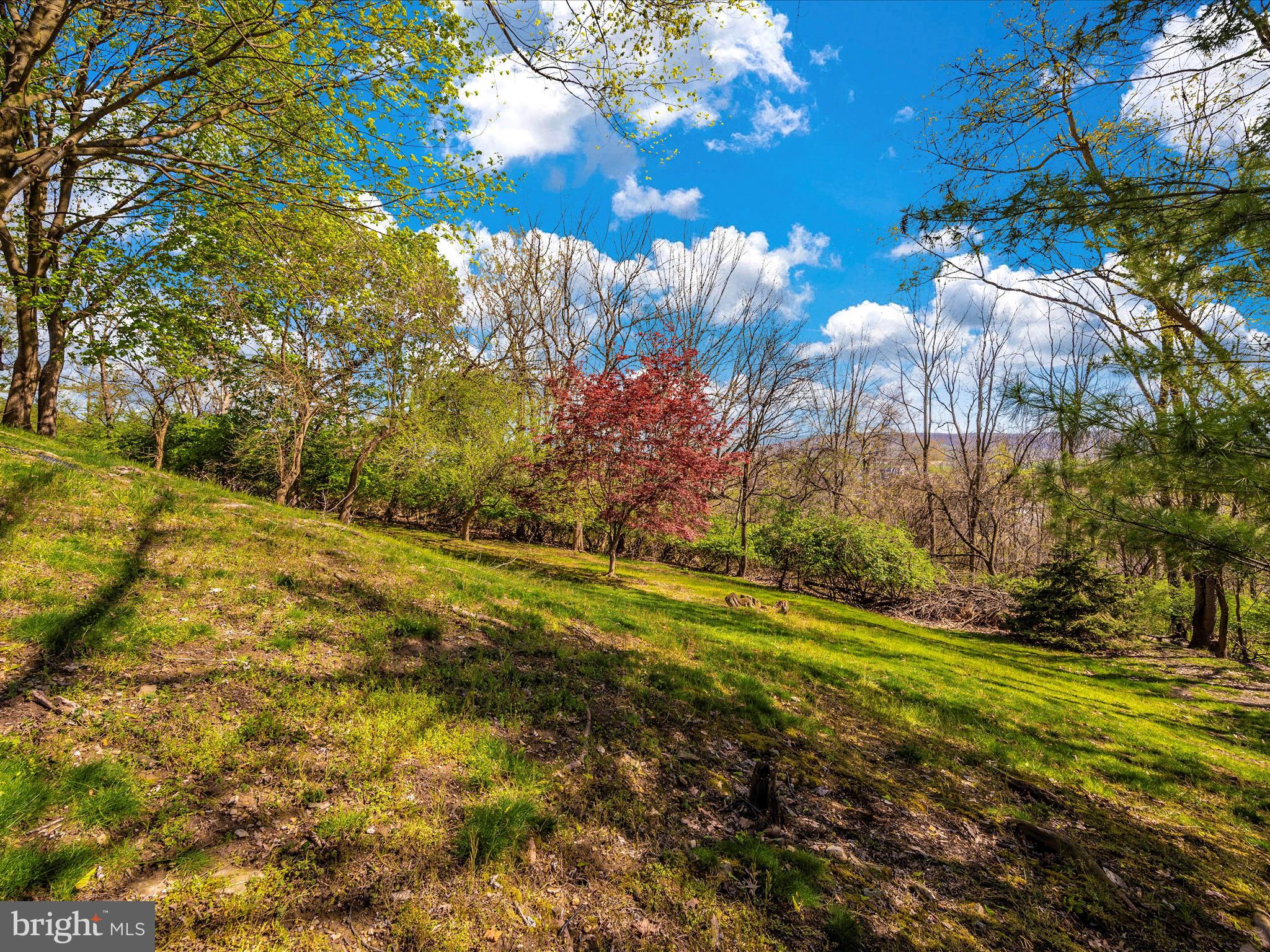 8383 Morningstar Lane Ln Unit: 1