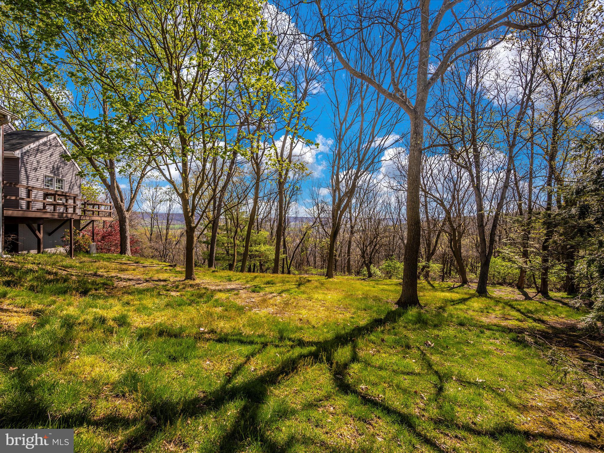 8383 Morningstar Lane Ln Unit: 1