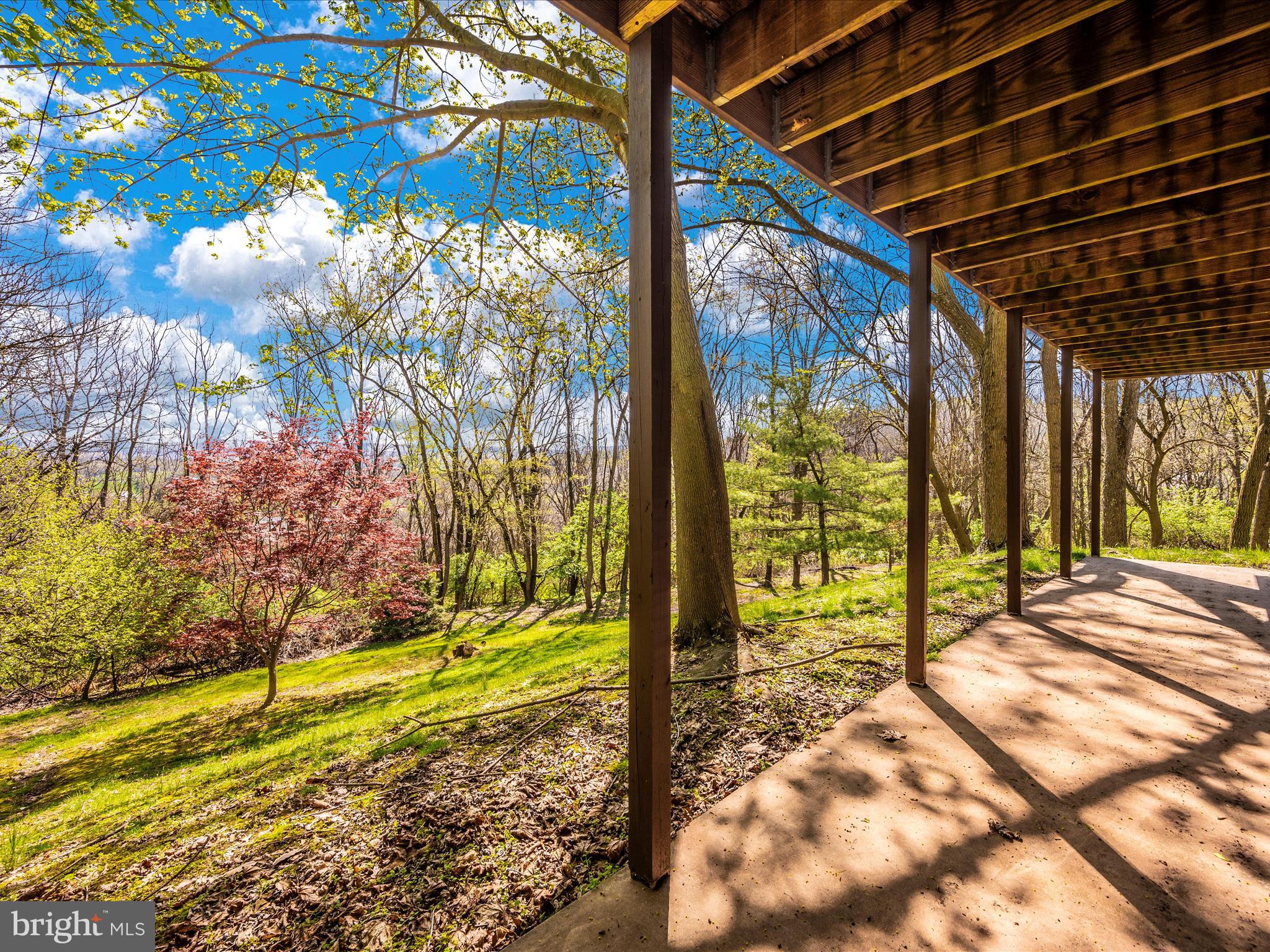 8383 Morningstar Lane Ln Unit: 1