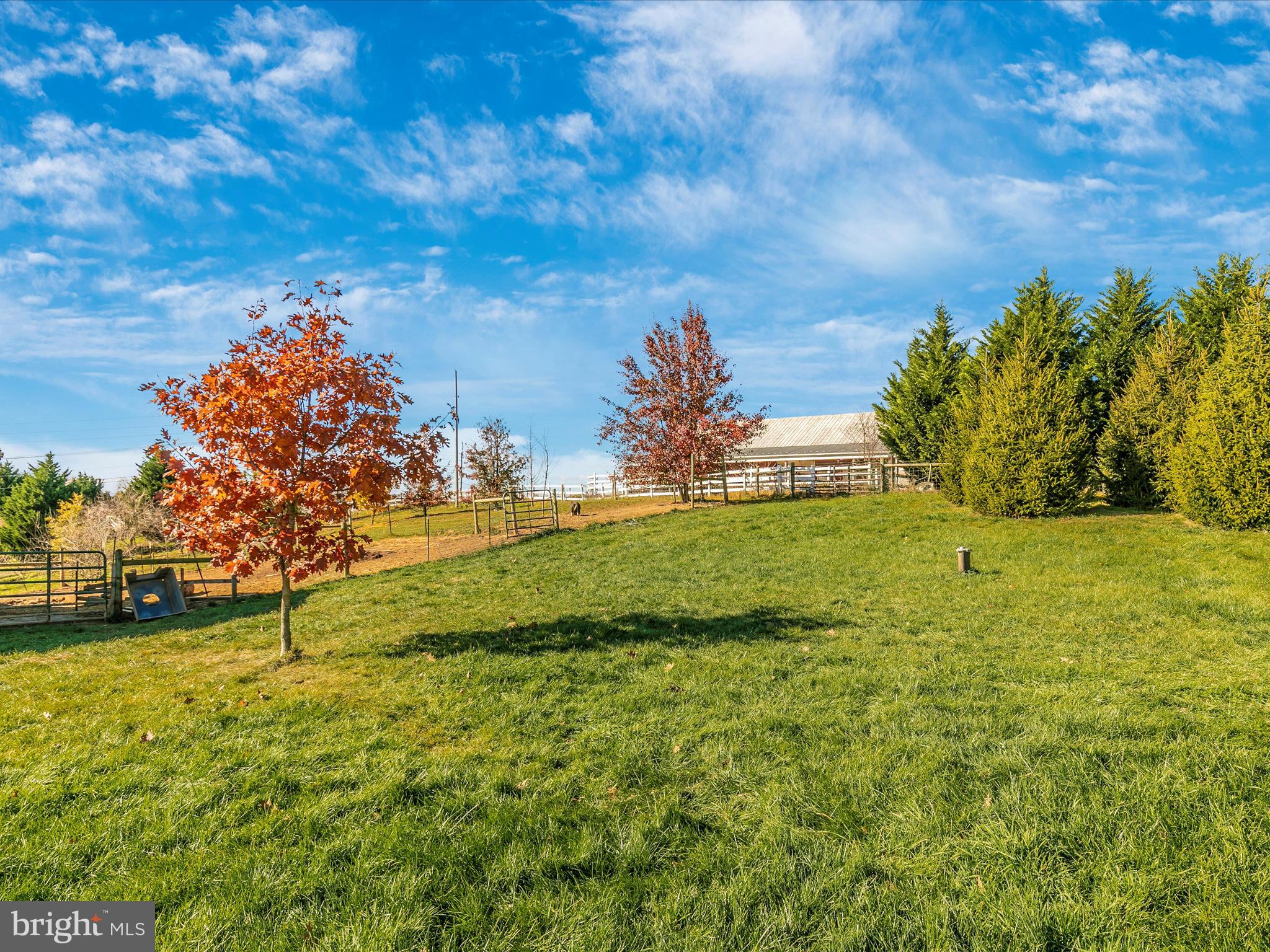 16 Ross Mill RIDGE