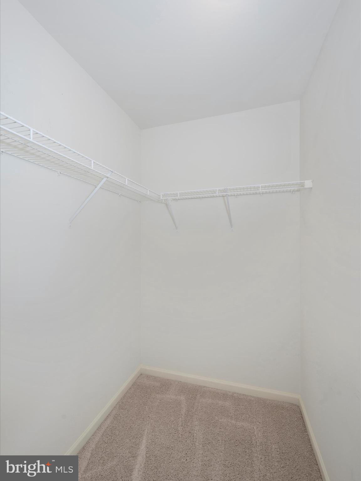 119 Loblolly Dr