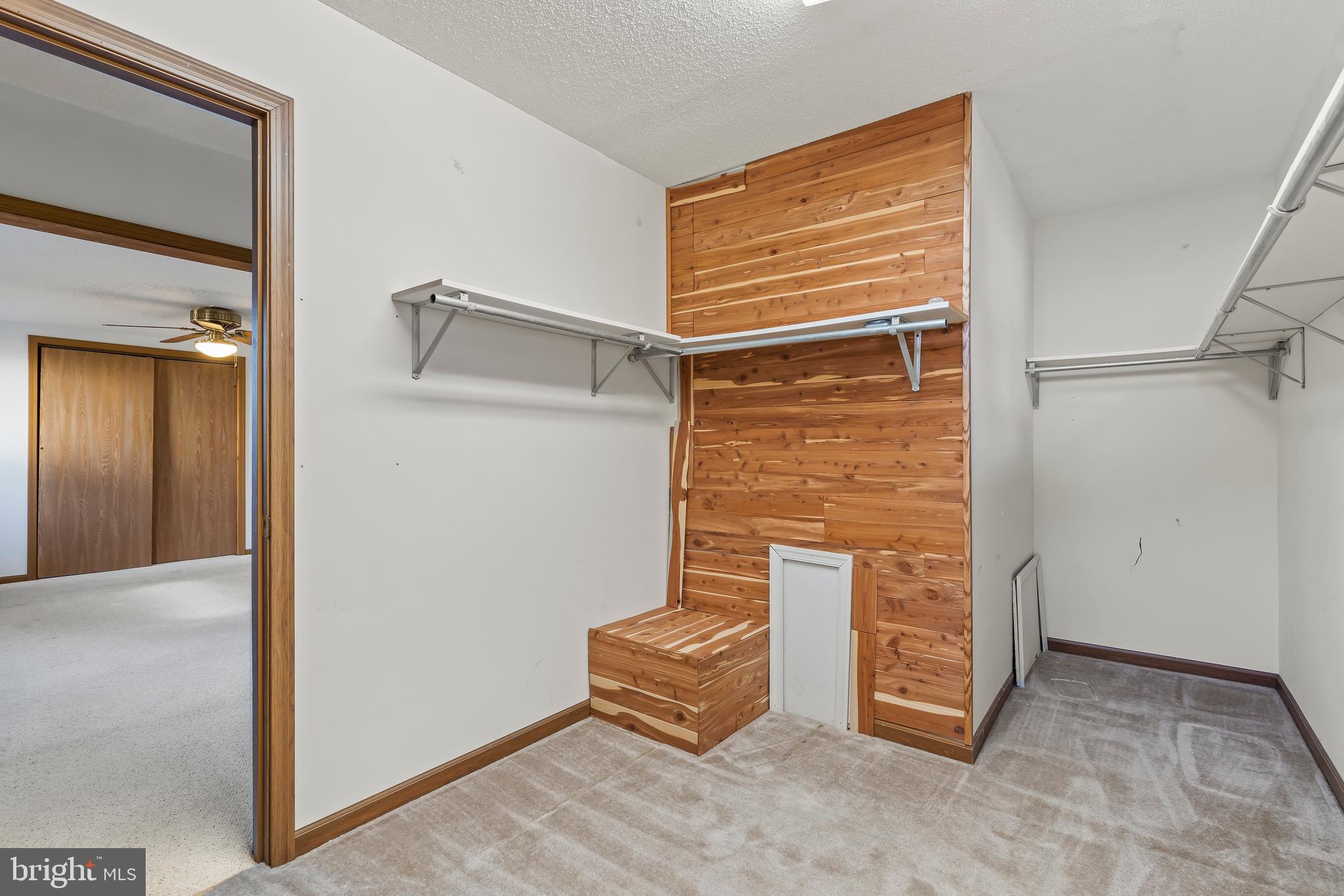 120 Trailblazer Ln