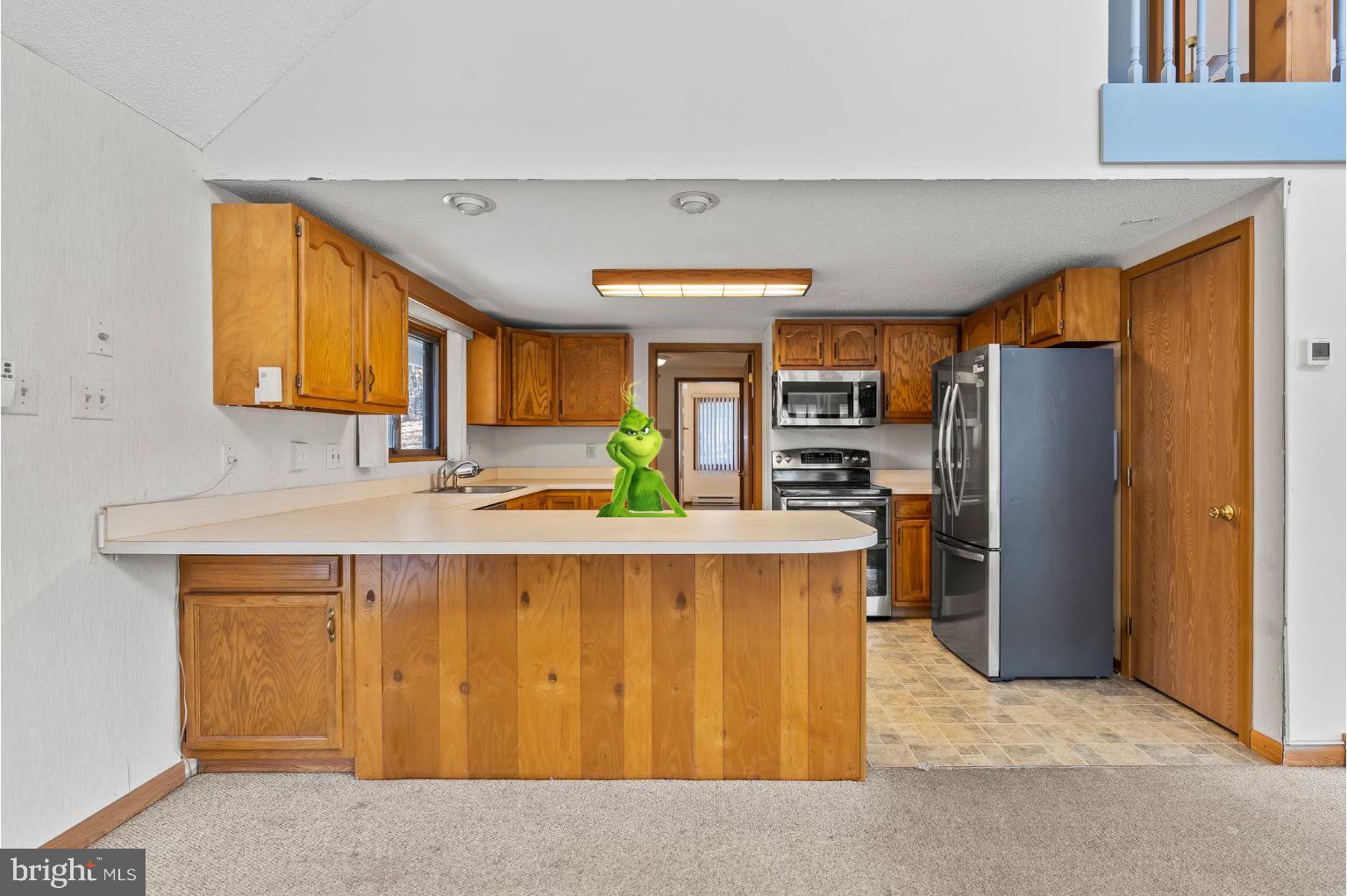 120 Trailblazer Ln