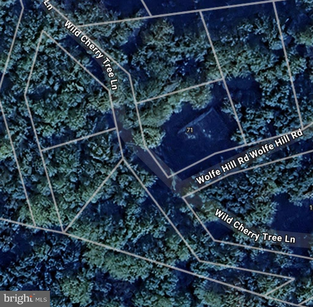 Wild Cherry Tree Ln