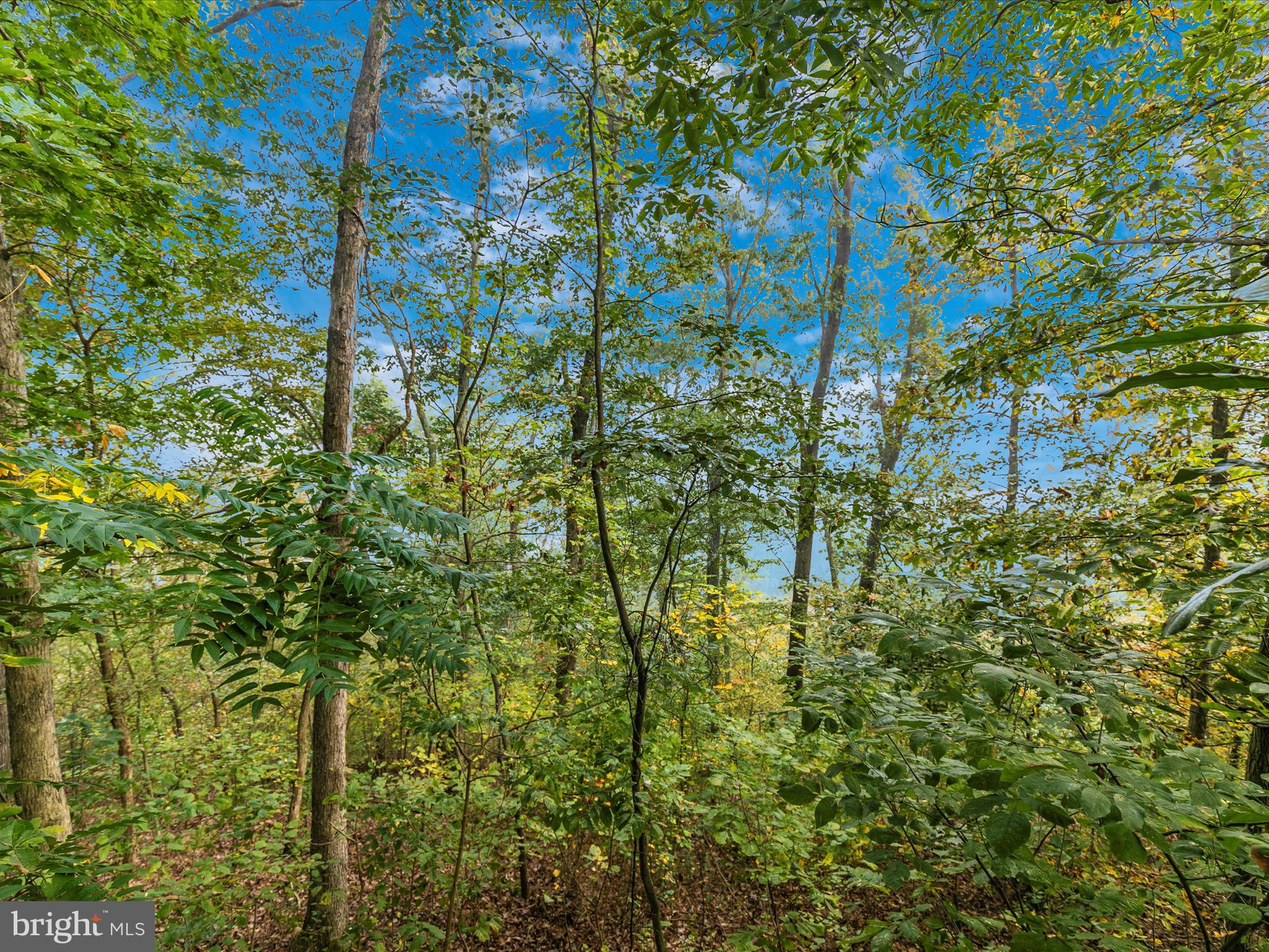 85 Morosko LANE