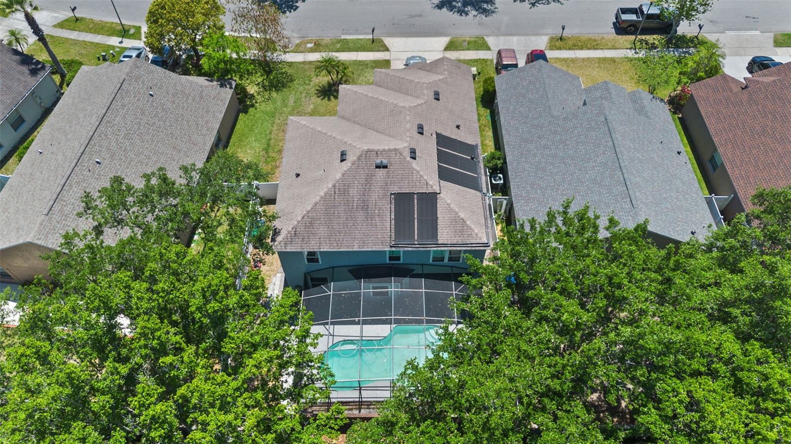 2204 HAMMOCK MOSS DR
