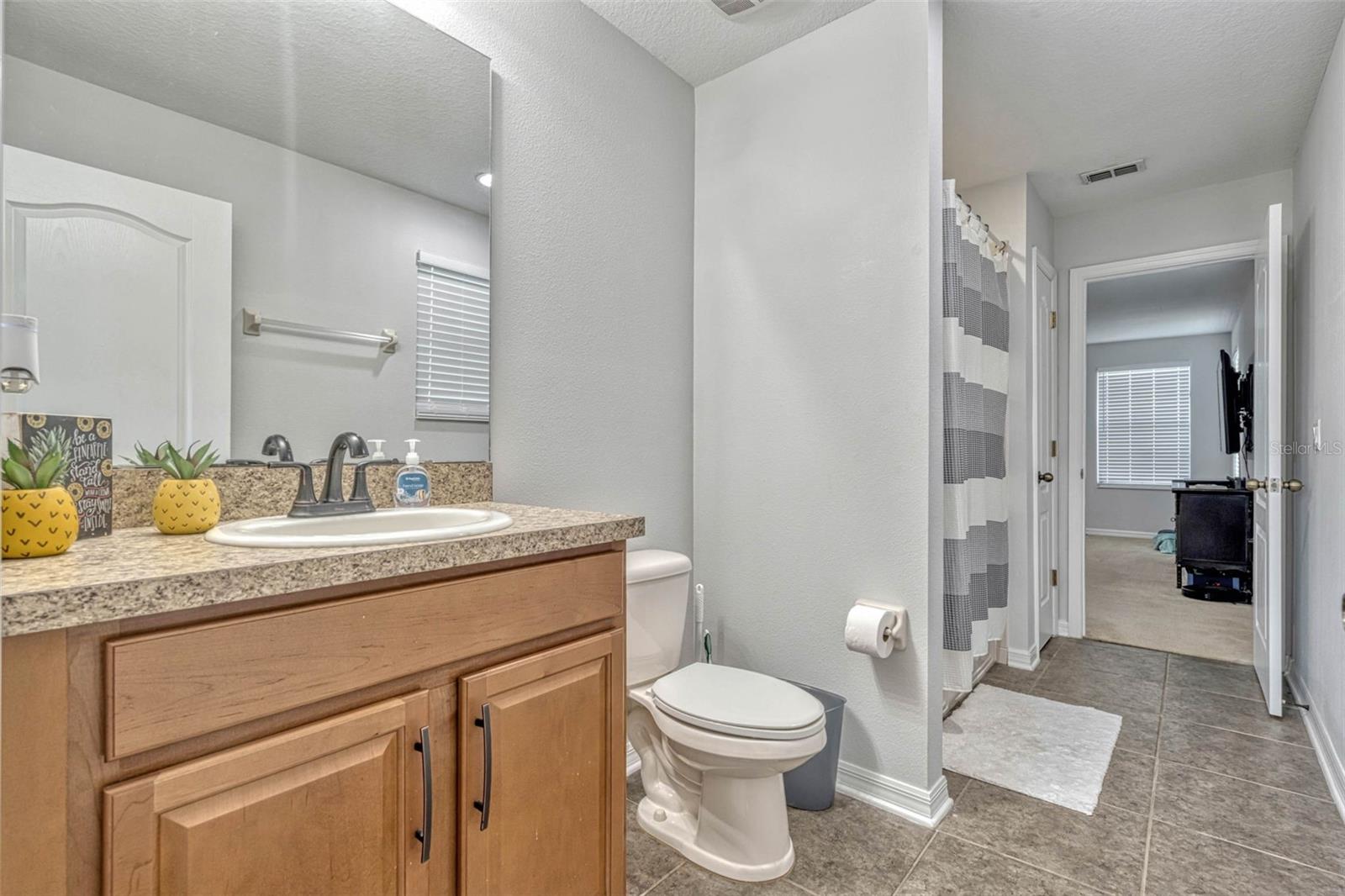 17106 GUILFORD CT