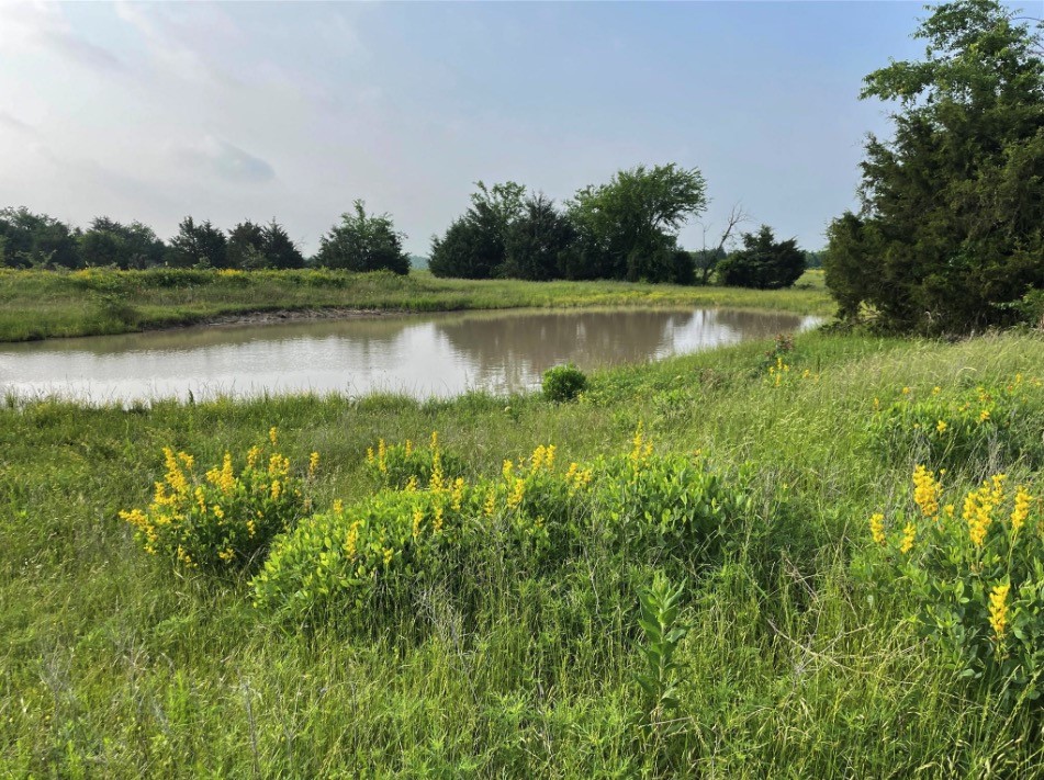 TBD 000 County Rd 4513