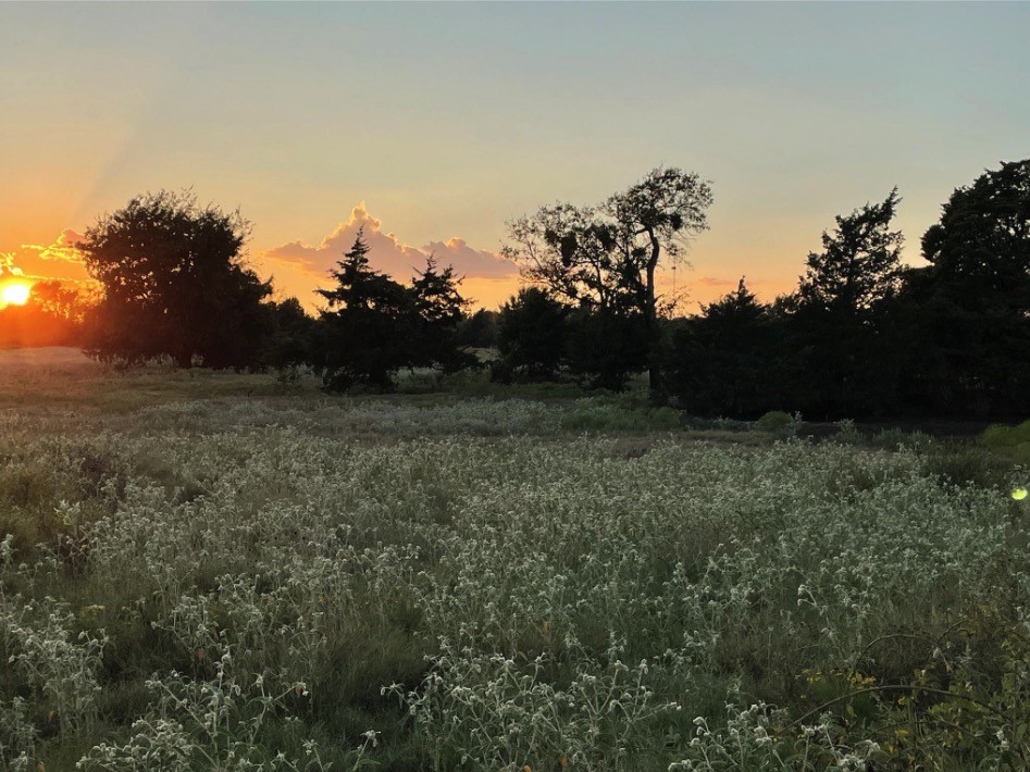TBD 000 County Rd 4513