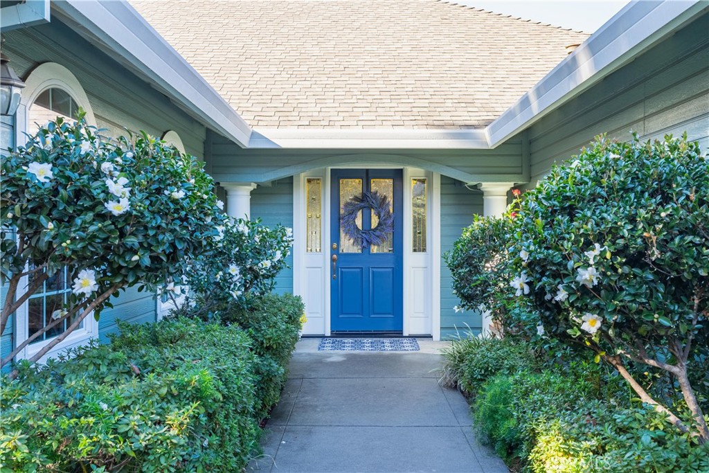 Home entrance with a bright blue wreath-adorned door and flowering shrubs along the walkway.