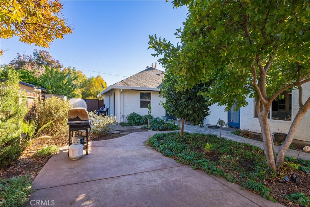 Backyard patio with a barbecue, mature trees, and a blue door on the rear of the house.