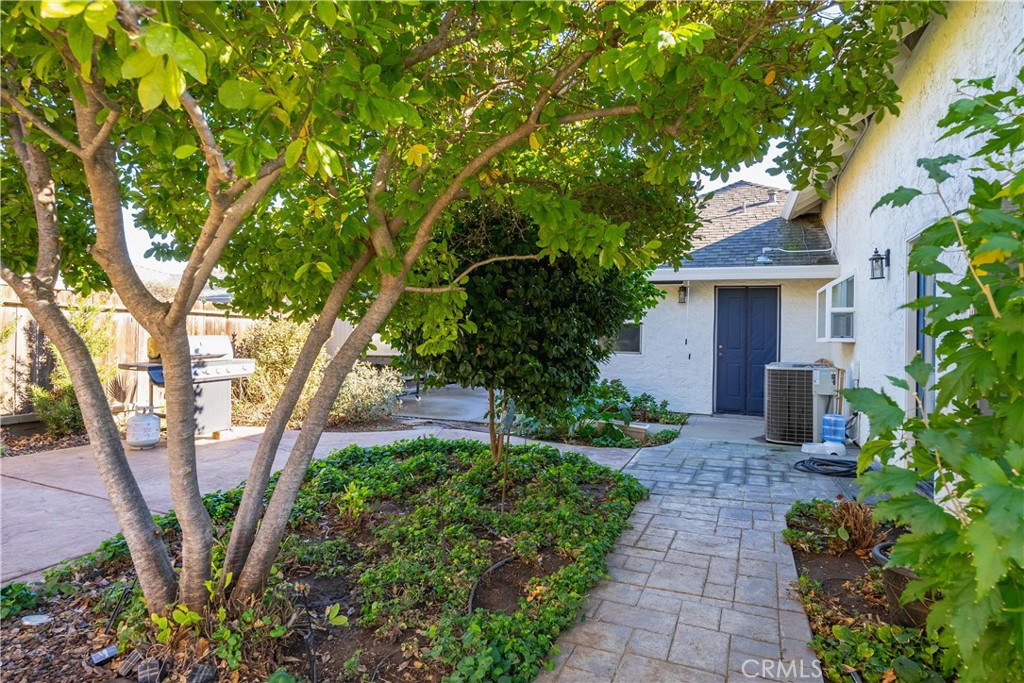 Back patio with a blue door, leafy shade trees, planted garden beds, and an outdoor grill.
