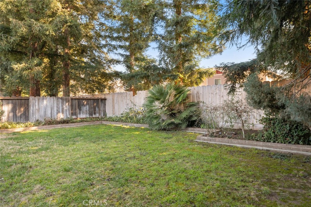 Fenced backyard with a broad lawn, mature trees, and a fan palm.