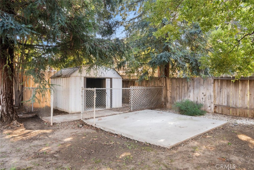 Backyard with a white storage shed, concrete pad, chain-link enclosure, and mature trees.