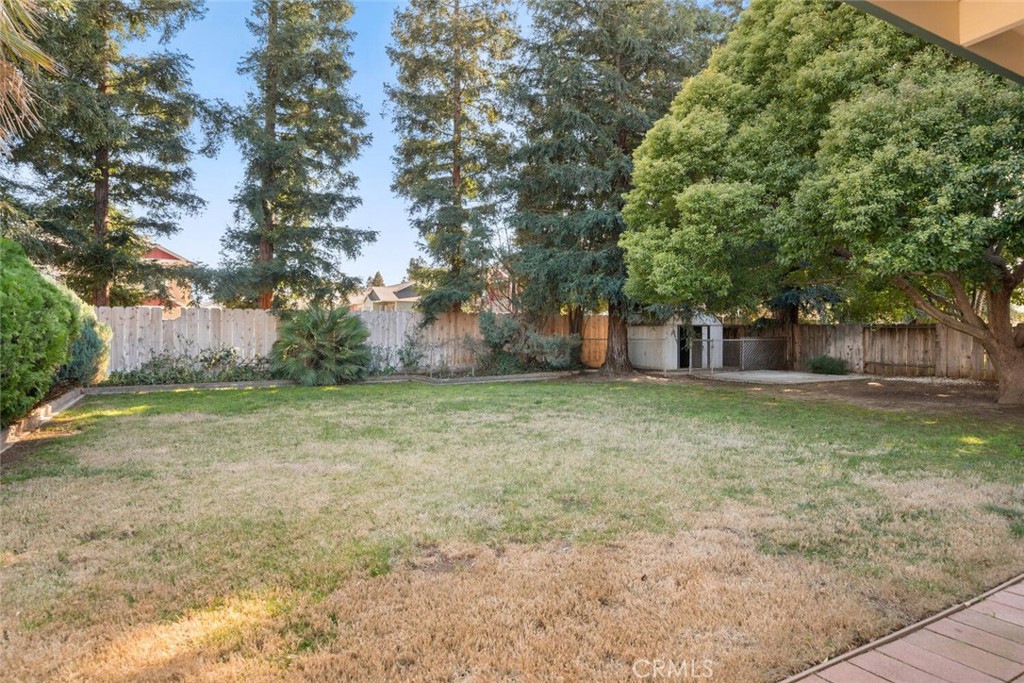 Fenced backyard with a broad lawn, mature trees, and a small shed.