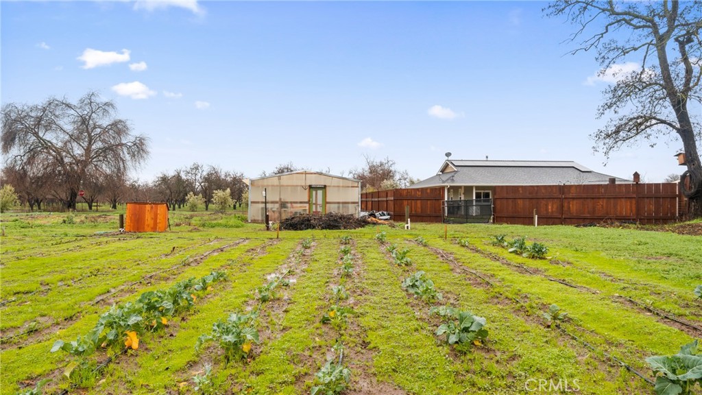Backyard garden rows lead toward a greenhouse, orange shed, and fenced house.