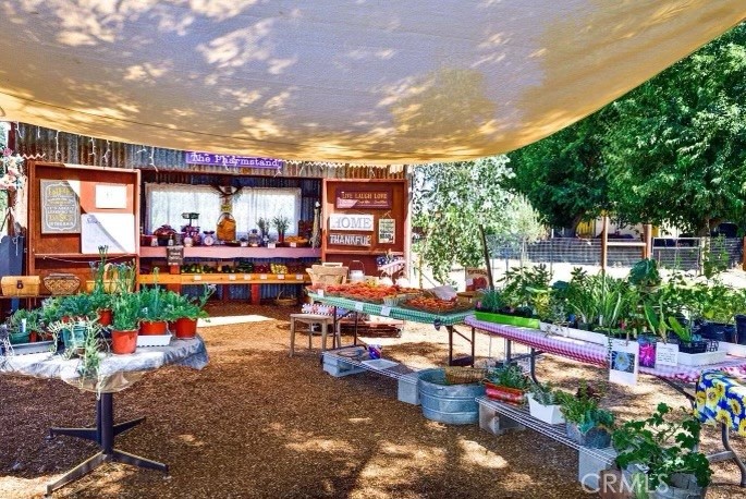 Outdoor farm stand with potted plants and produce arranged on tables beneath a shade canopy.