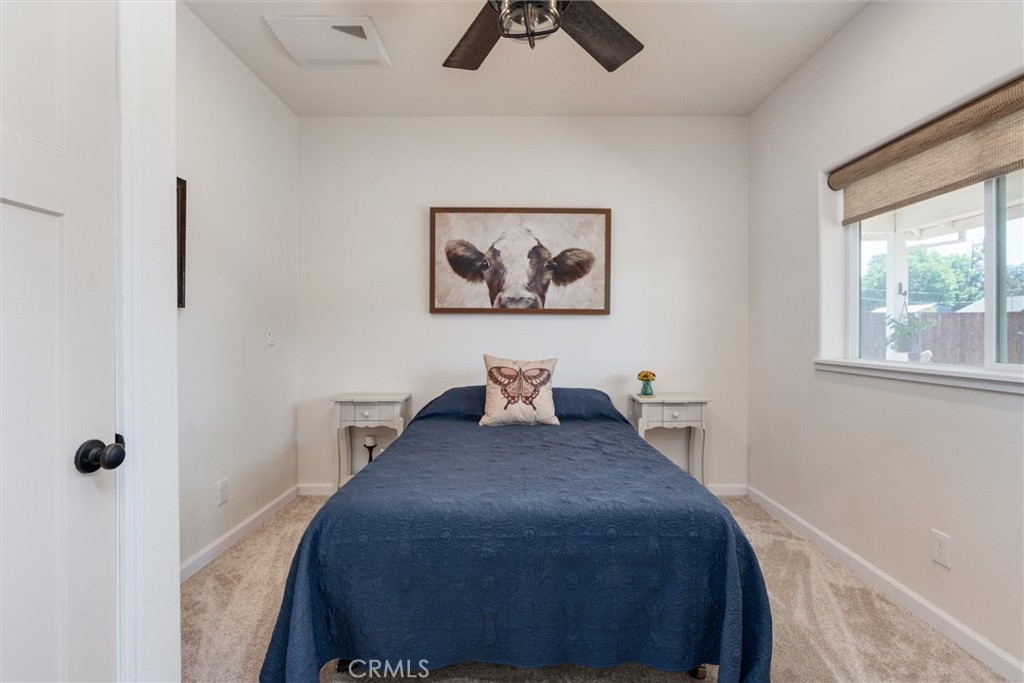 Furnished bedroom with a blue bedspread, cow artwork, and a large shaded window.